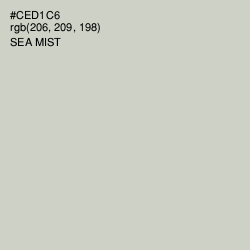 #CED1C6 - Sea Mist Color Image